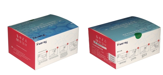 Teste descartável Kit Virus Sampling For Covid-19 de 3ML VTM