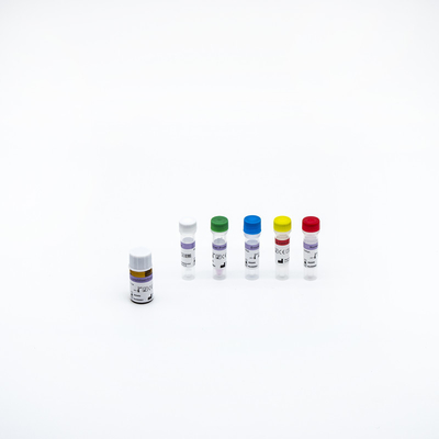 Teste rápido Kit Nucleic Acid Detection Kit do PCR da classe I RT da aprovação do CE